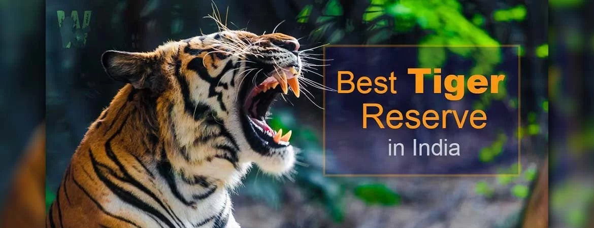 Best Tiger Reserves Of India | Wildlense.com