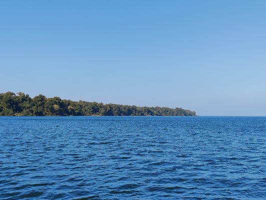 Top 5 Eco-Friendly Ways To Explore Pilibhit Tiger Reserve