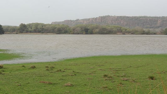 Seasonal Delights: Visiting Ranthambore In Different Seasons