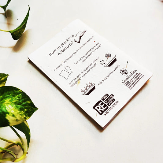 Why Schools Should Adopt Plantable Products for Projects