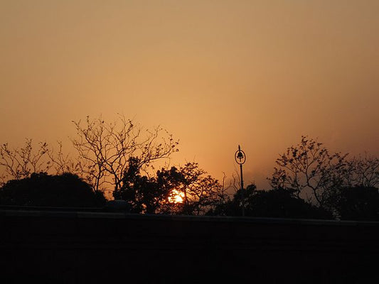 Eco-Tourism in Uttar Pradesh: Travel Responsibly & Support Conservation