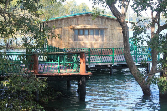 Wildlife Conservation NGOs: Promoting Eco-Tourism And Sustainable Livelihoods