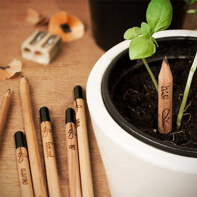 The Role of Plantable Products in a Circular Economy: A Greener Future with Wildlense Eco Foundation