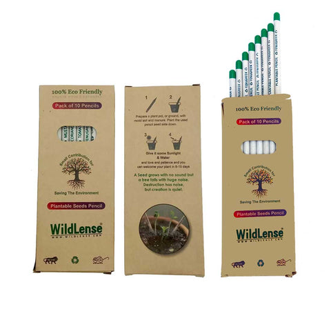 Eco-friendly Plantable Seed Pencils (Pack of 10) Wildlense