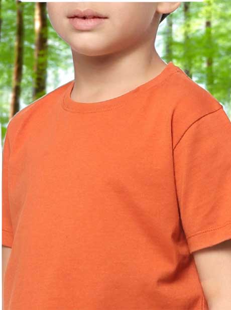Wildlense Boys Rust Casual T-shirt Wildlense Wildlense Boys Rust Casual T-shirt Wildlense