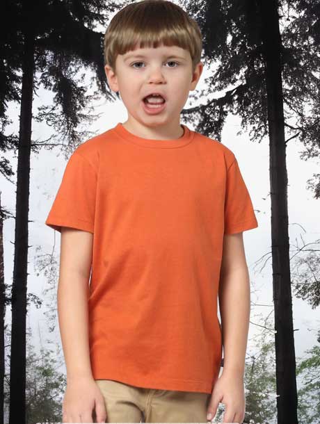 Wildlense Boys Rust Casual T-shirt Wildlense Wildlense Boys Rust Casual T-shirt Wildlense