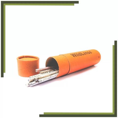 Wildlense Recycled Newspaper Pencils (Pack Of 10) Wildlense Wildlense Recycled Newspaper Pencils (Pack Of 10) Wildlense