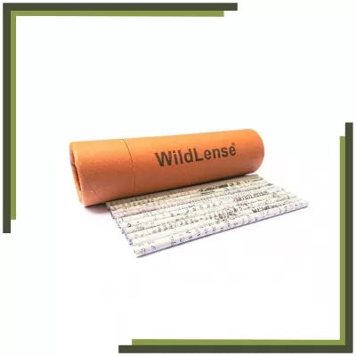 Wildlense Recycled Newspaper Pencils (Pack Of 10) Wildlense Wildlense Recycled Newspaper Pencils (Pack Of 10) Wildlense