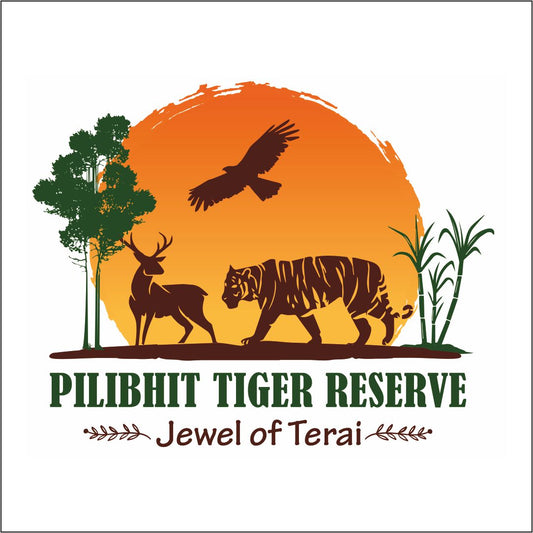 Tiger Tales: The Fascinating History And Conservation Efforts Of Pilibhit Tiger Reserve