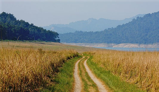 Corbett National Park: A Journey Through Its Rich History