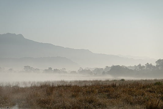 Hiking Trails Around Corbett National Park