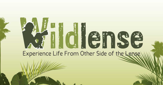 Best Monsoon Wildlife Destinations in India: A Paradise for Nature Lovers