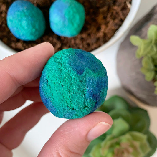 Unique Plantable Gift Ideas for Festivals: Celebrate with Green Gifting