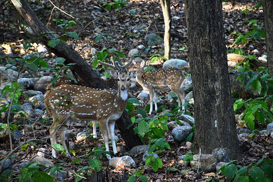 Best Places to Explore Near Uttarakhand – A Complete Travel Guide
