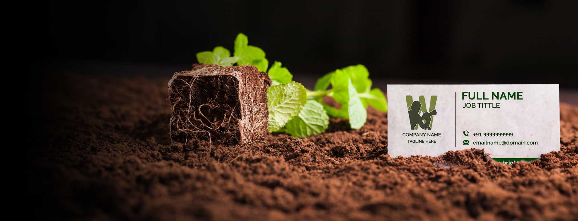 From Trash to Trees: The Journey of a Plantable Product 🌱