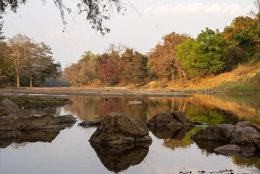 Kanha's Changing Seasons: A Year-Round Wildlife Experience