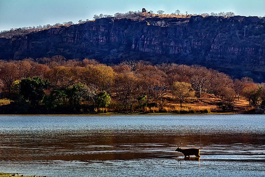 Eco-Friendly Practices: How Ranthambore Promotes Sustainable Tourism