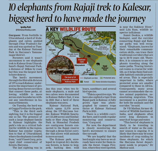 Historic Elephant Migration: 10 Elephants Travel Across Northern India’s Wildlife Corridors