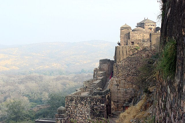 Ranthambore Fort: A Historic Marvel Amidst Wilderness | wildlense.com