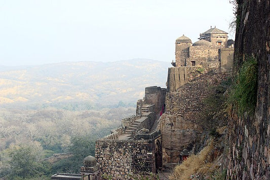 Ranthambore Fort: A Historic Marvel Amidst Wilderness