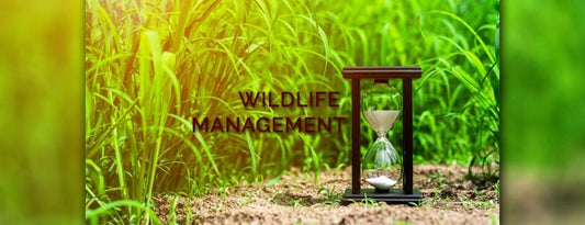 Wildlife Management in India Wildlense