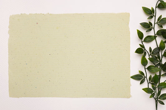 Eco-Friendly Invitations: How Seed Paper Is Redefining Event Stationery