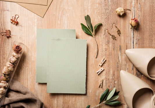 What Is Seed Paper? Everything You Need To Know About This Eco-Friendly Innovation