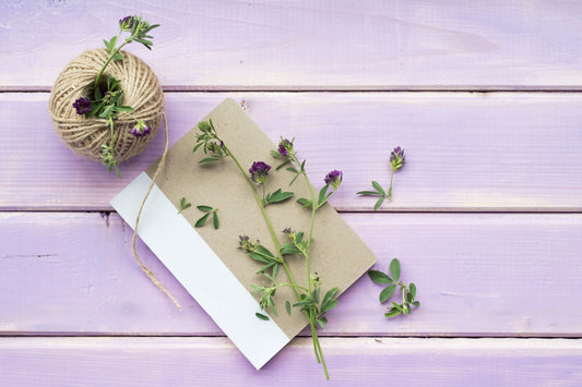 Growing Memories: How Plantable Seed Paper Creates Lasting Impressions