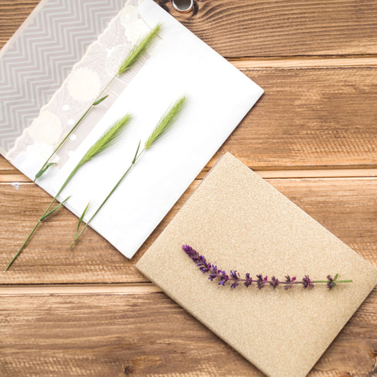 The Future Of Printing: Exploring Seed Paper As A Sustainable Alternative