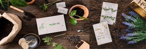 The Science Behind Plantable Paper: How It Works