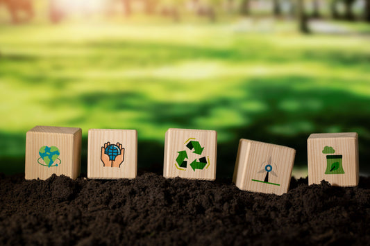 Personal Responsibility: Why Individual Actions Matter In The Sustainability Movement