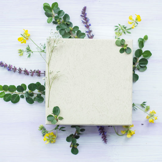 Seed Paper Invitations: From Waste To Wildflower