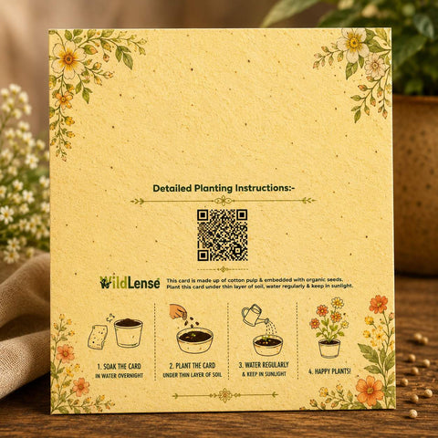 Eco-Friendly Hasiru Kalyana Kannada South Indian Wedding Invitation Card