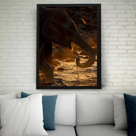 Frame of Sun Kissed Elephant By Prakhar Krishan Wildlense