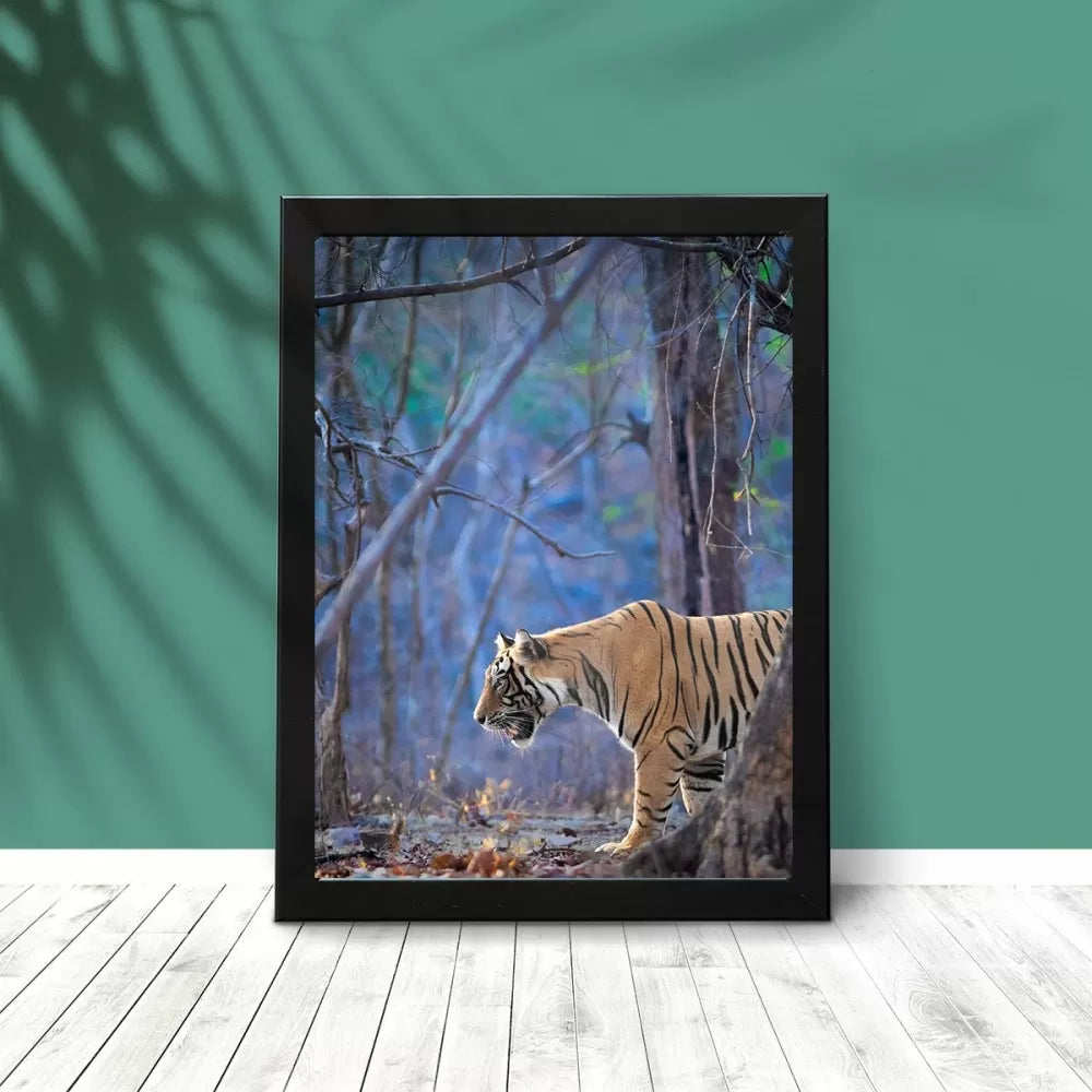 Frame of Tiger And Tress By Prakhar Krishan Wildlense