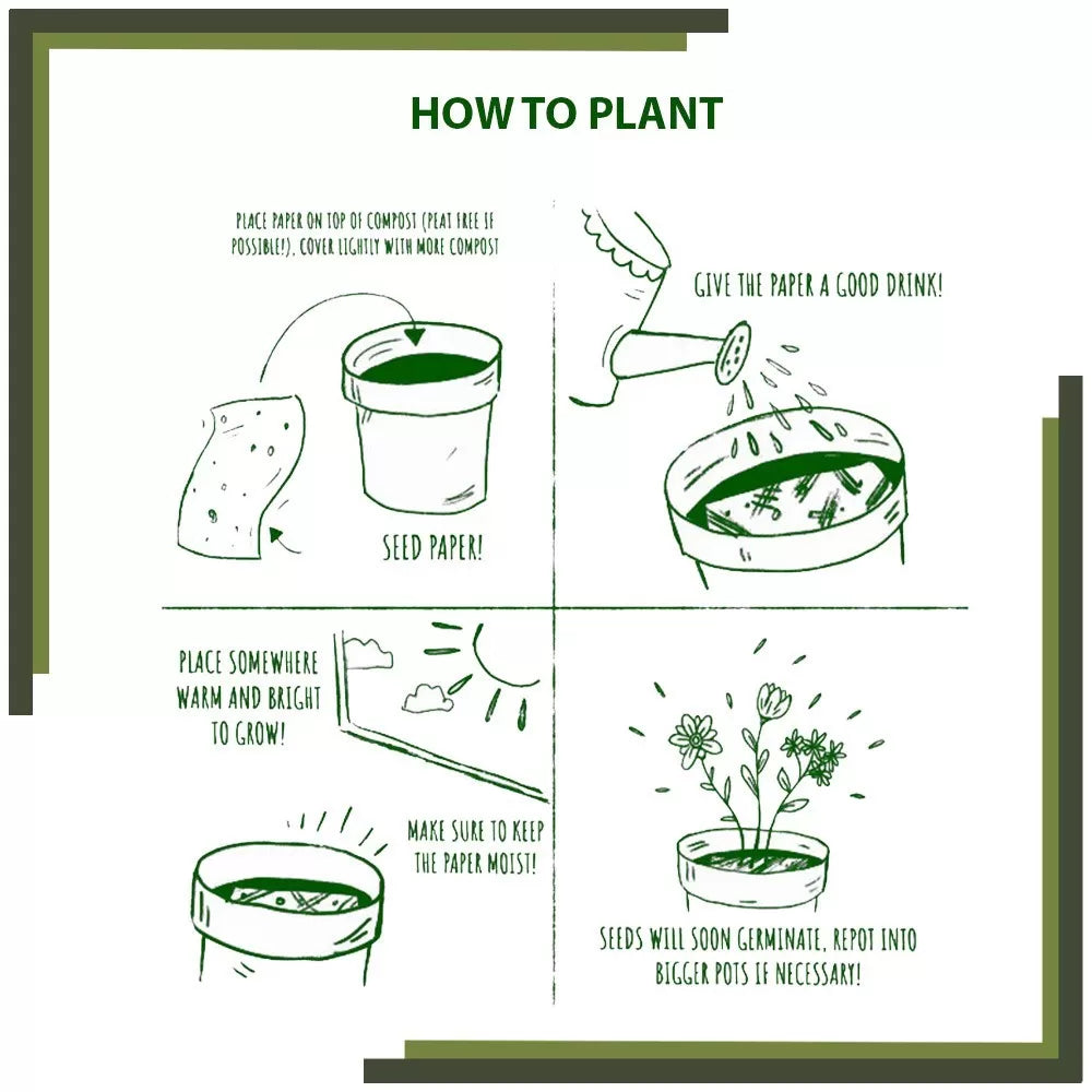 paper with seeds to plant Plantable Seed Paper Gift Bags | Eco-Friendly Gifting