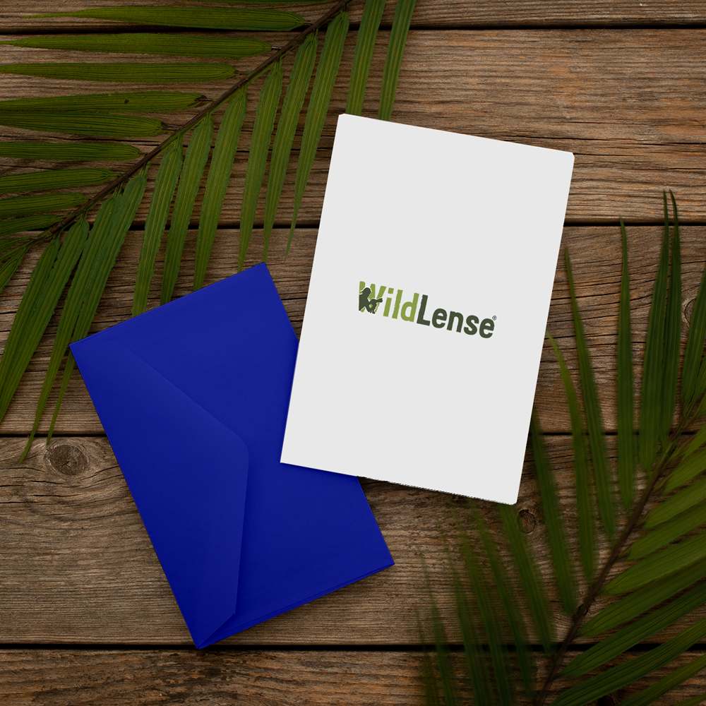 Wildlense Premium Blue Coloured Envelope For Wedding Invitations (Pack of 25)