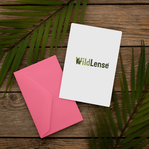 Wildlense Premium Pink Coloured Envelope For Wedding Invitations (Pack of 25)