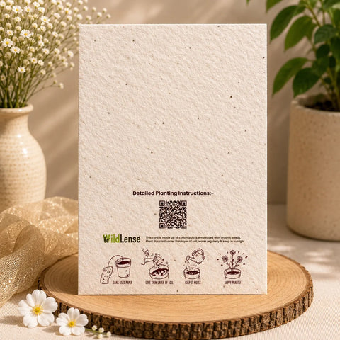 Plantable Annaprashan (Rice Ceremony) Invitation Card