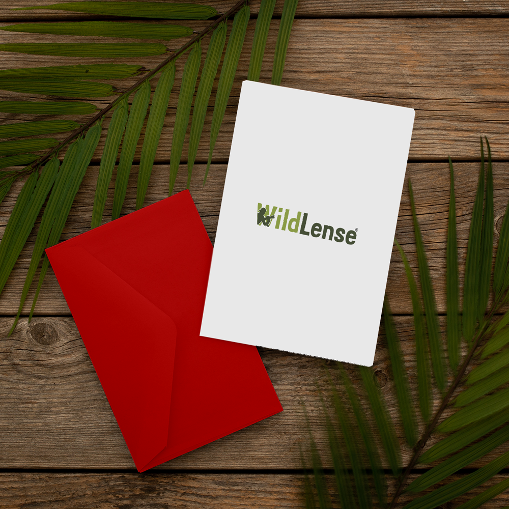 Wildlense Premium Red Coloured Envelope For Wedding Invitations (Pack of 25)