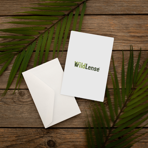 Wildlense Premium White Coloured Envelope For Wedding Invitations (Pack of 25)